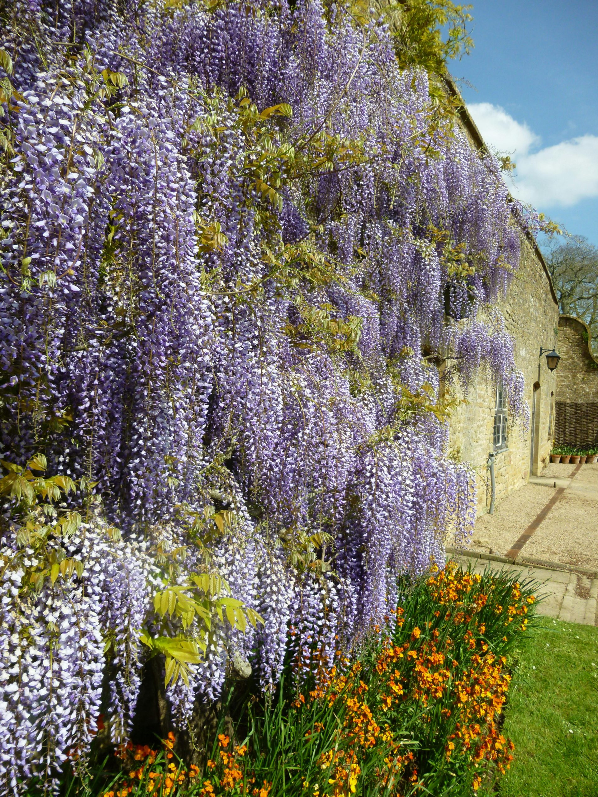 jardines verticales