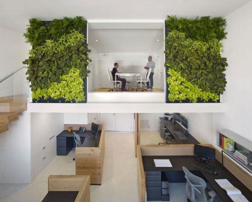 Beneficios de los Jardines Verticales en espacios de trabajo.