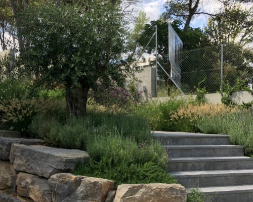 Nuestras soluciones de jardinería: el antes y el después de un caso concreto