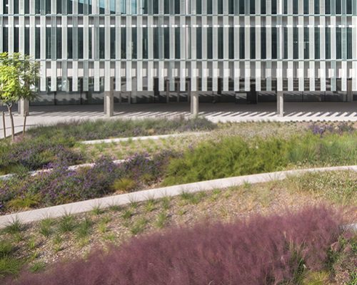 Colaboramos en el proyecto arquitectónico del nuevo campus administrativo de la Generalitat