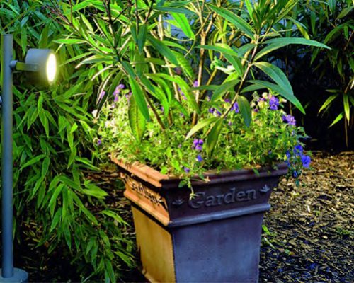 5 opciones para iluminar tu jardín