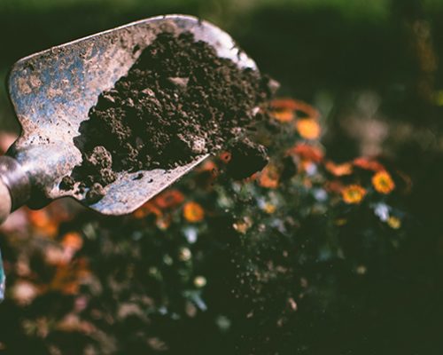 Invierno significa mancharse las manos de tierra