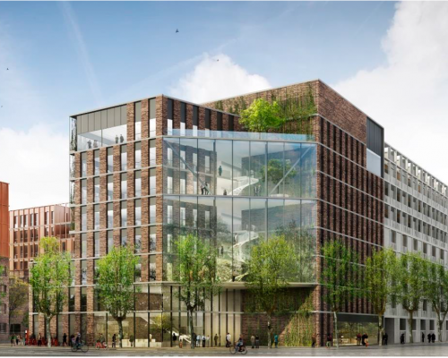 Ignasi Conillas construirá las obras de jardinería del nuevo campus de TBS