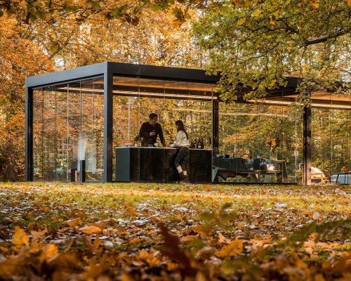 Consejos para cuidar tu jardín en invierno