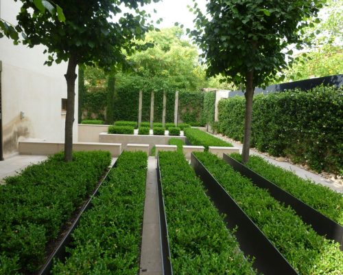 Jardín contemporáneo