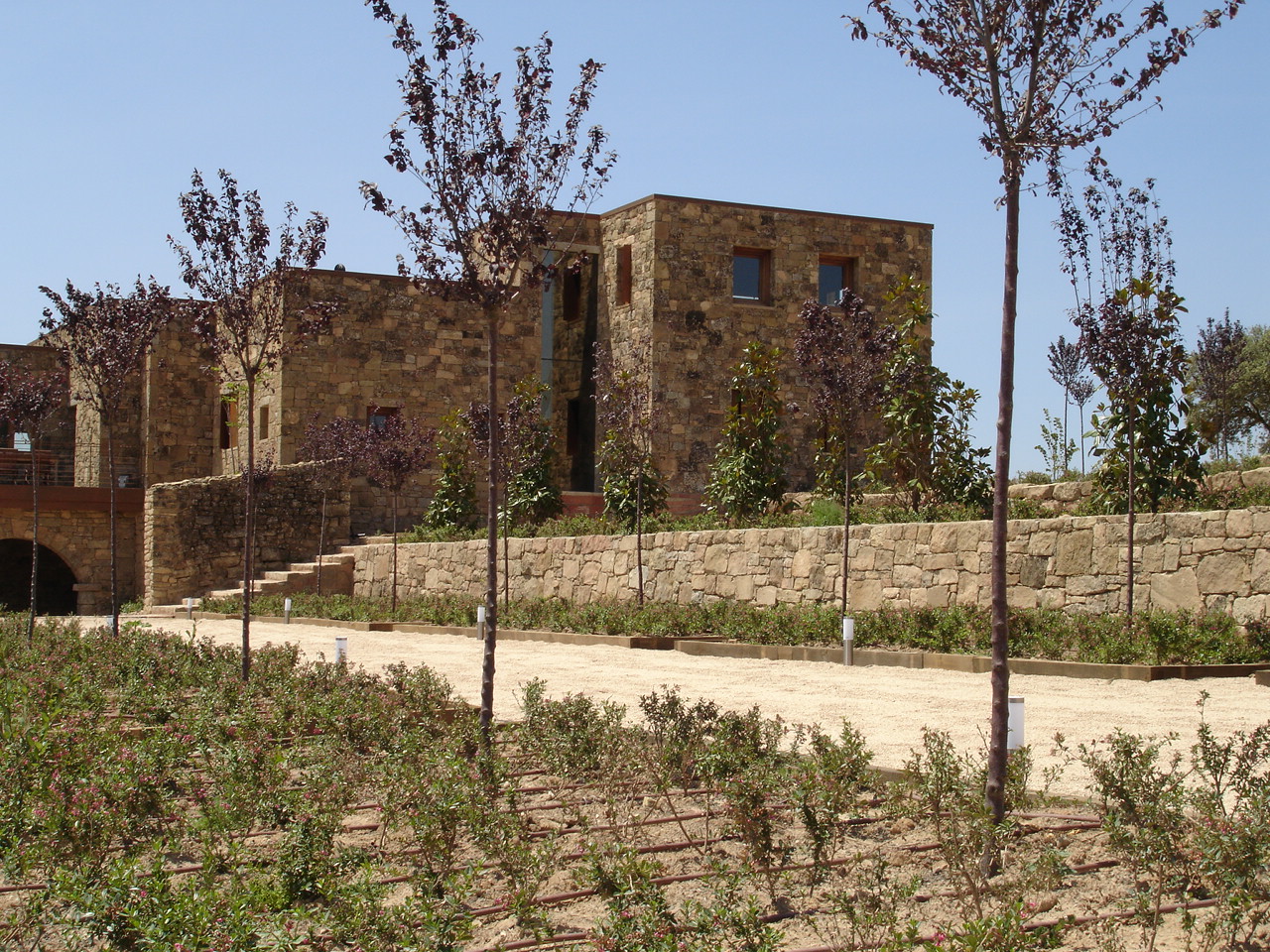 proyecto en la segarra