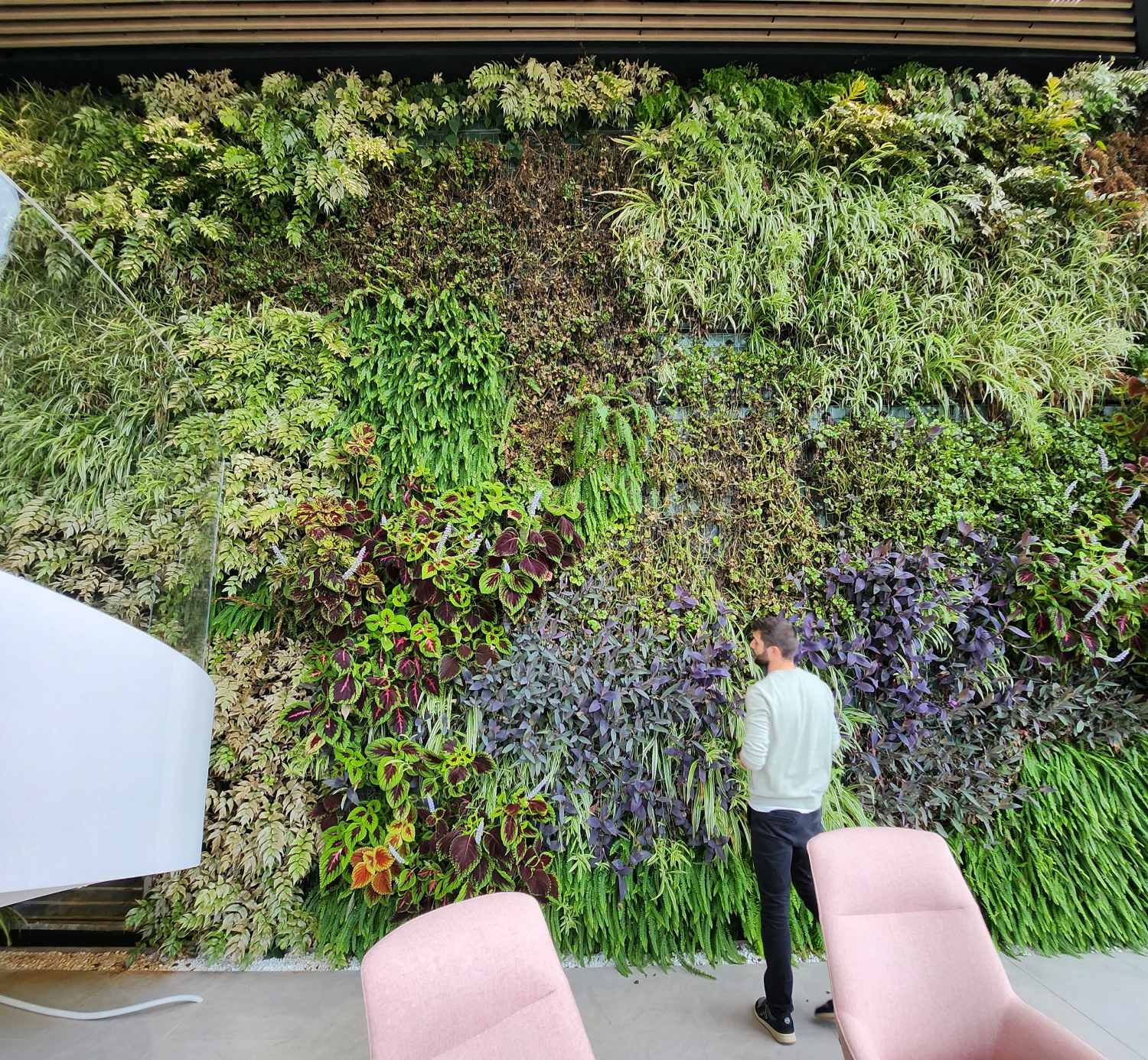 Ignasi Conillas, diseño jardineria vertical