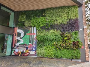 Ignasi Conillas: descubre las tendencias para el 2024 sobre los jardines verticales