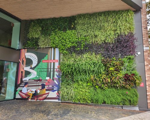 Tendencias en Jardines Verticales Profesionales: Inspiración 2024