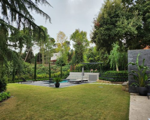Cómo preparar tu jardín para el otoño después del verano