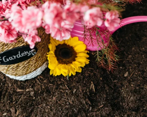 Cómo cuidar el jardín en primavera y prepararlo para todo el año